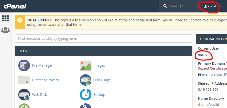 Screenshot of successful cPanel web interface login via Azure AD