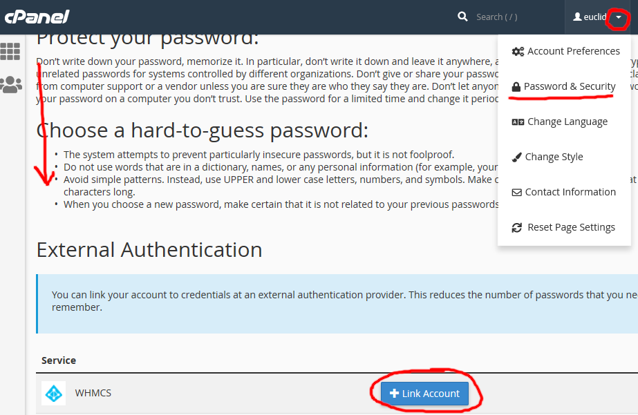 Screenshot of cPanel Password & Security options and linking a new external account