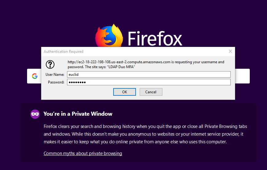 Primary (first factor) authentication prompt