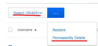 Screenshot of Duo bulk delete users option